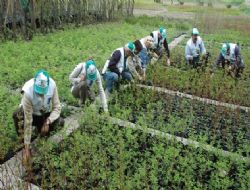 50 bin geçici işçi alınacak